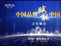 中國品牌賦能中國經濟|央視財經“對話”吉利總裁安聰慧